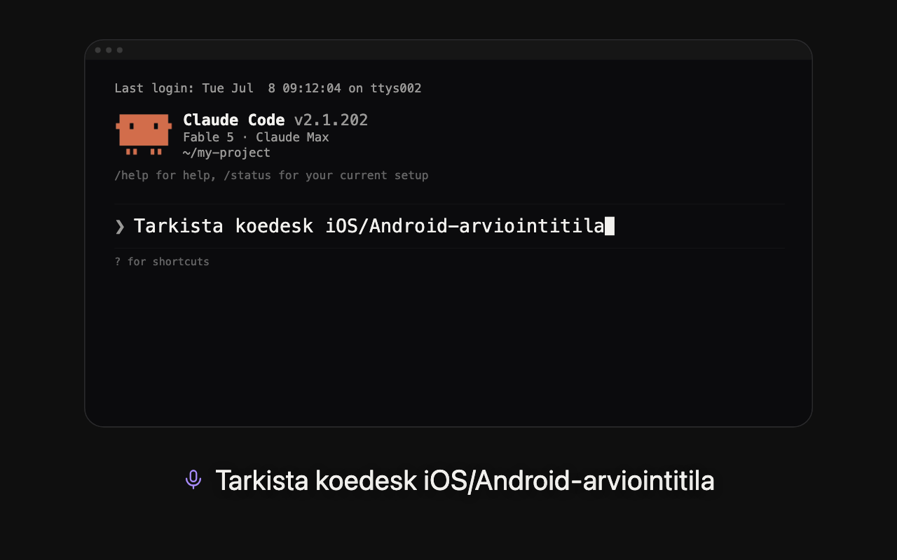 Peruskäyttö