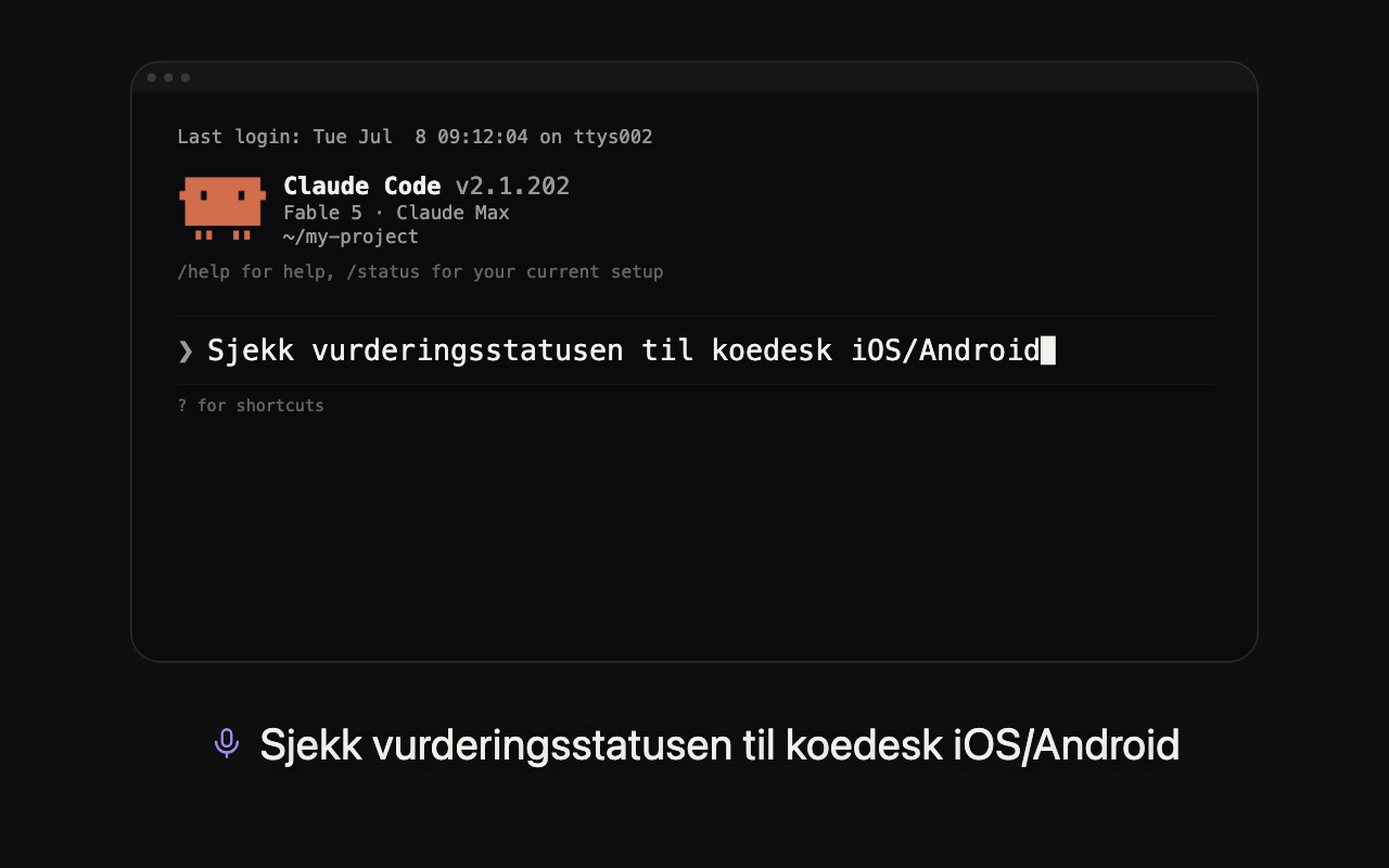 Grunnleggende bruk
